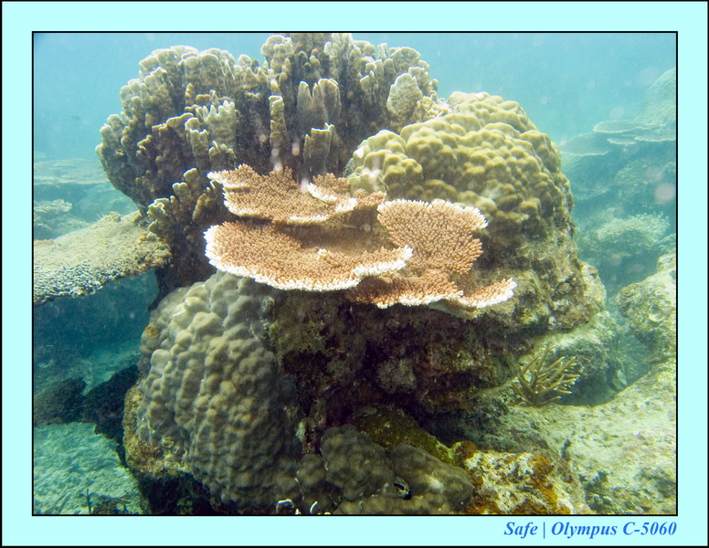 2008 - 07 - Perhentian - 048